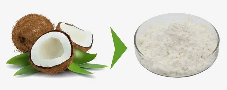 Coconut Milk Powder Wholesale 1 Coconut Milk Powder Wholesale 1
