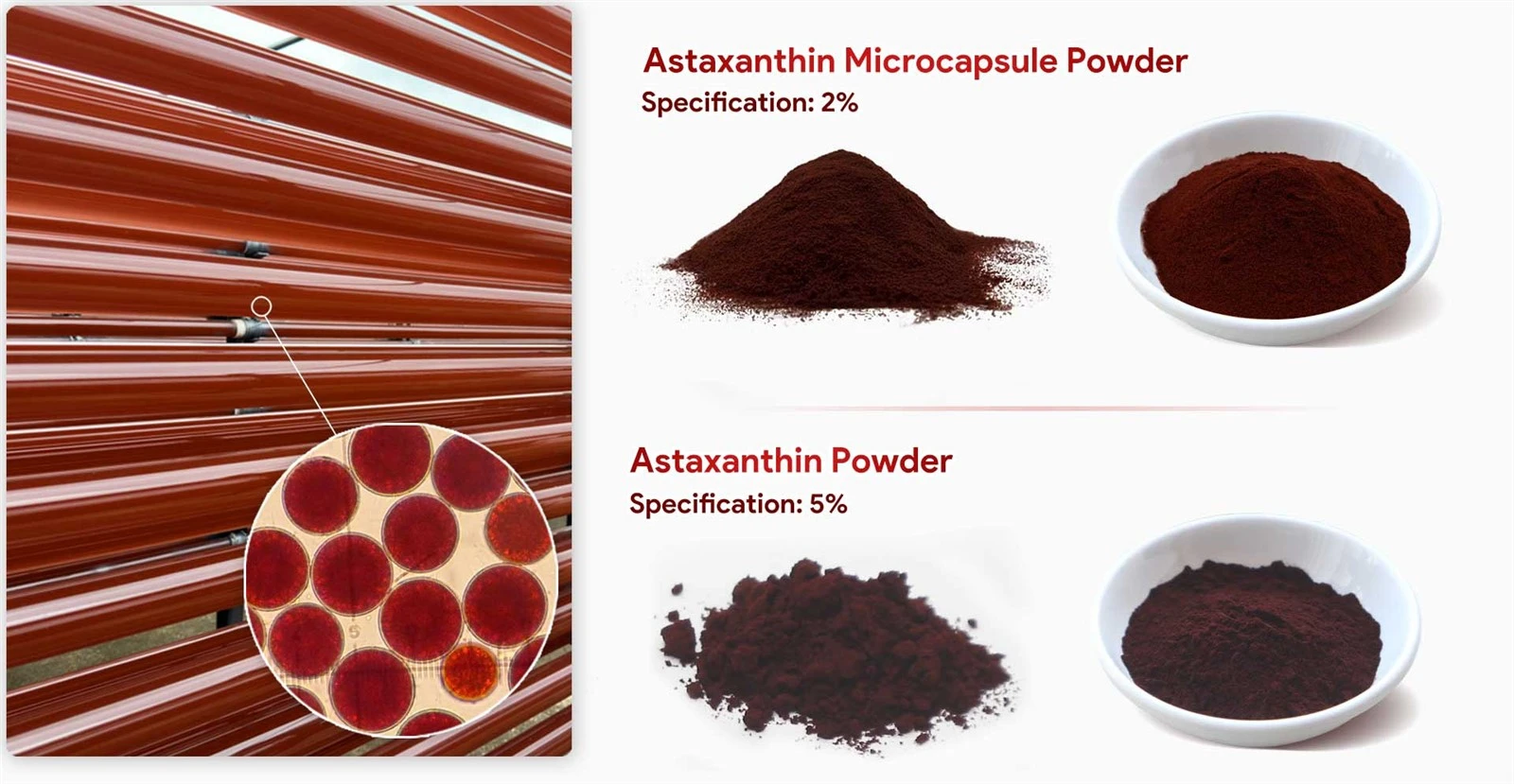 Astanxantine microcapsule Astanxantine microcapsule